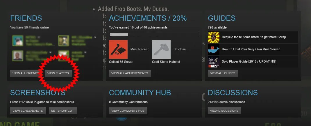 Steam Overlay View Players Button