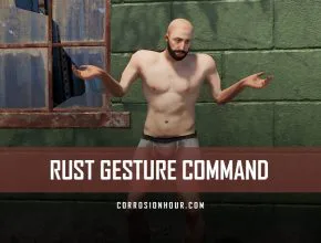 RUST Gesture Command