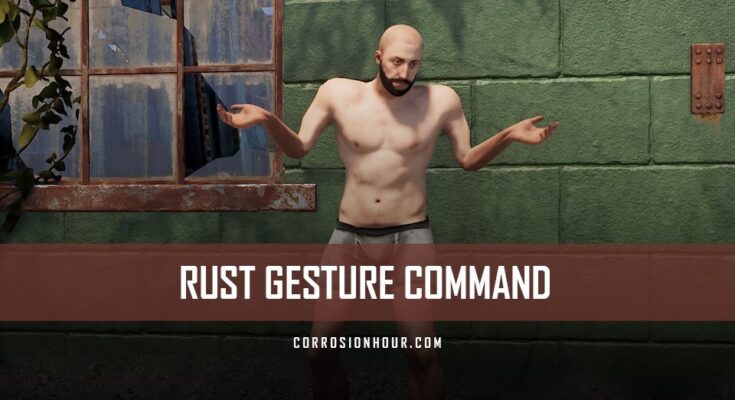 RUST Gesture Command