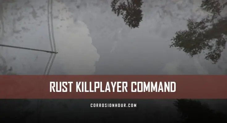 RUST Killplayer Command