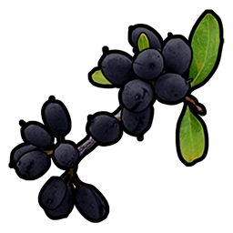 image of rust item Black Berry