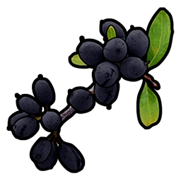 RUST Black Berry
