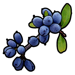 RUST Blue Berries
