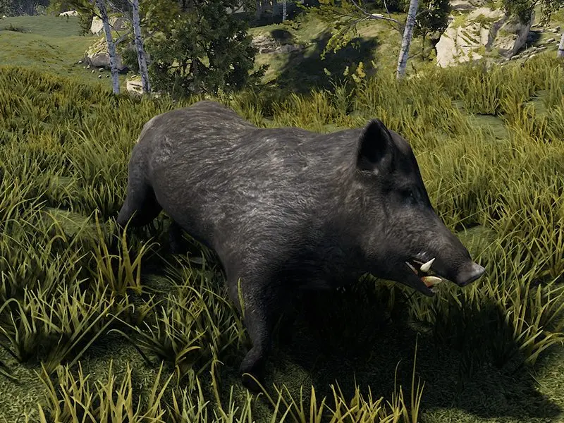 RUST Boar