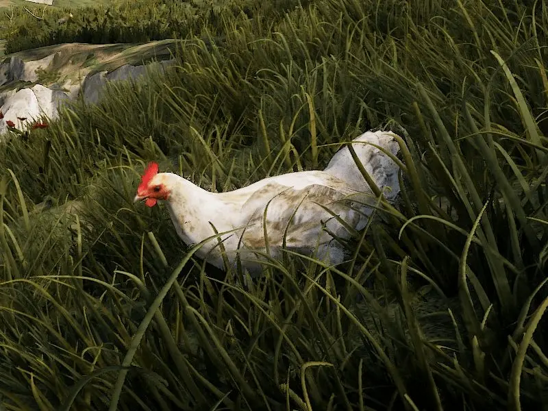 RUST Chicken