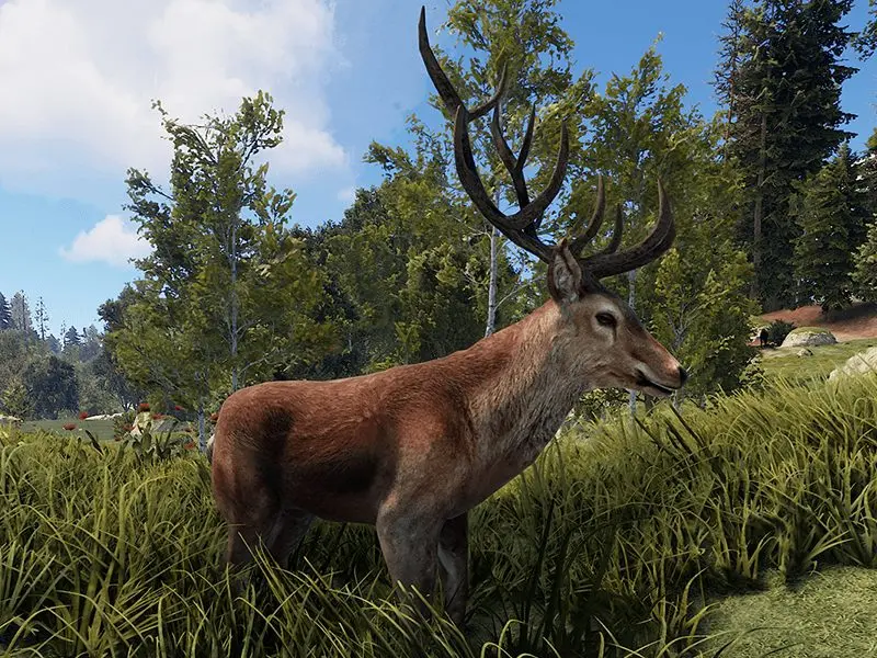 RUST Deer (stag)