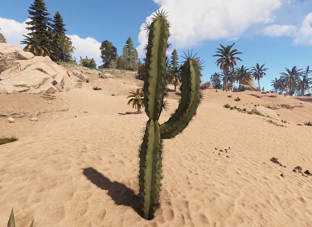 rust cactus harvest for cloth