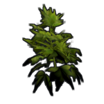 Rust Hemp Icon