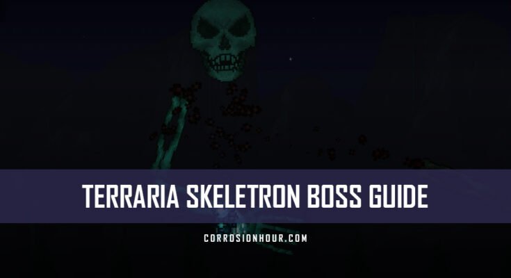 Terraria Skeletron Boss Guide