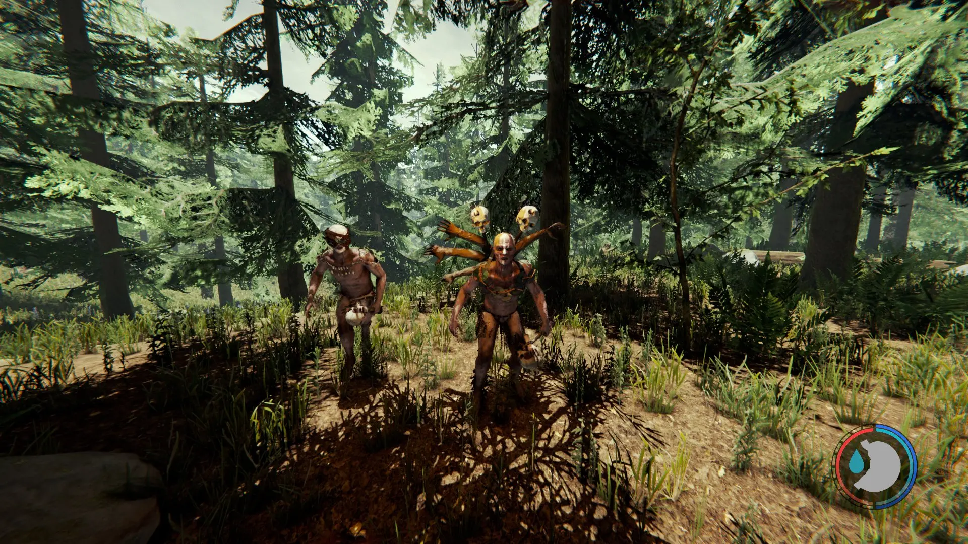 The Forest Review