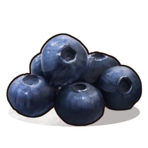 RUST Blueberries