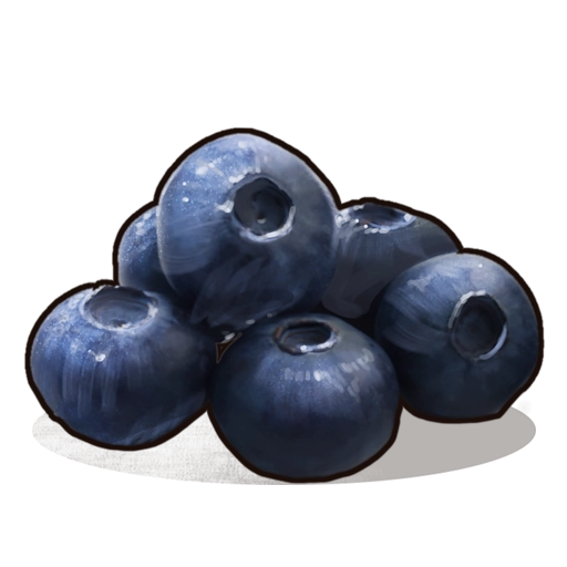 image of rust item Blueberries