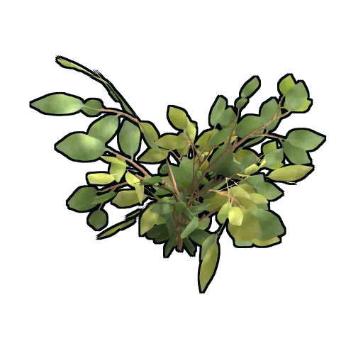 image of rust item Green Berry Clone
