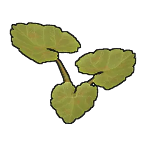 RUST Pumpkin Plant Clones