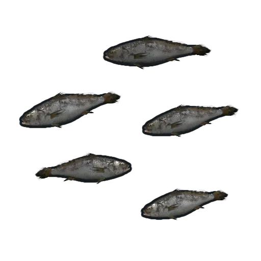 image of rust item Minnows