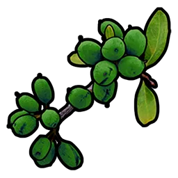 image of rust item Green Berry