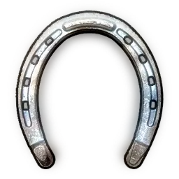 RUST High Quality Horse Shoes