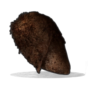 RUST Burnt Horse Meat
