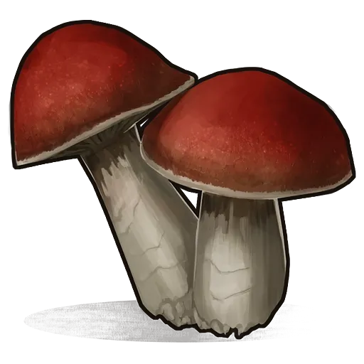 image of rust item Mushroom