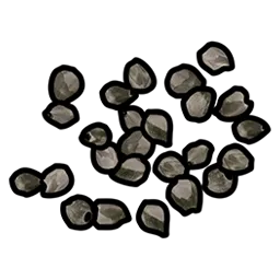 RUST White Berry Seed