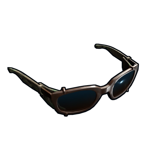 image of rust item Sunglasses