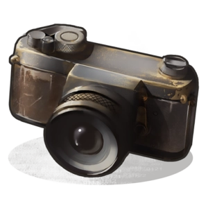 RUST Camera