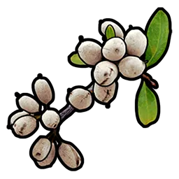 image of rust item White Berry