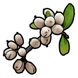 RUST White Berry