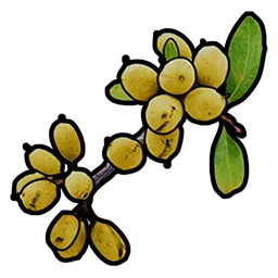 image of rust item Yellow Berry