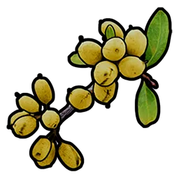 RUST Yellow Berry