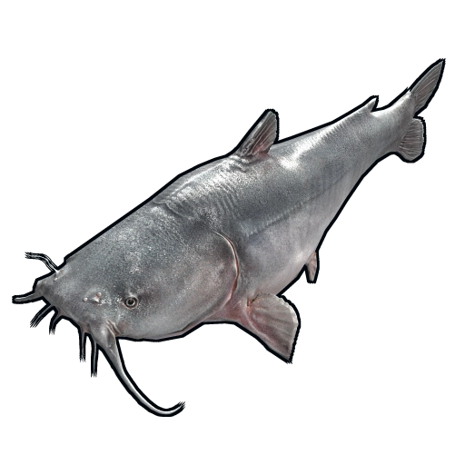 image of rust item Catfish