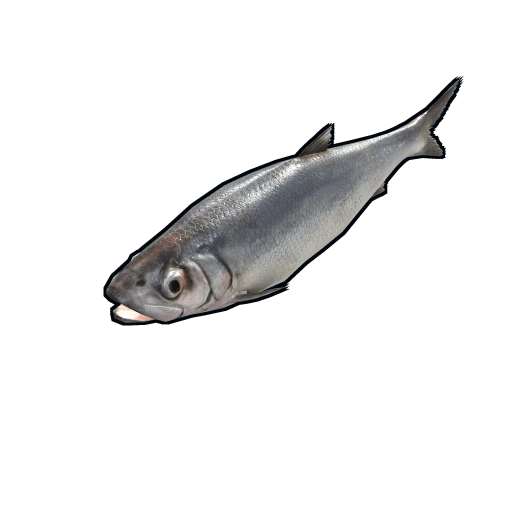 image of rust item Herring