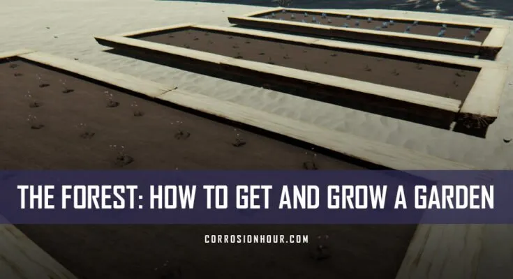 The Forest: How To Get and Grow a Garden