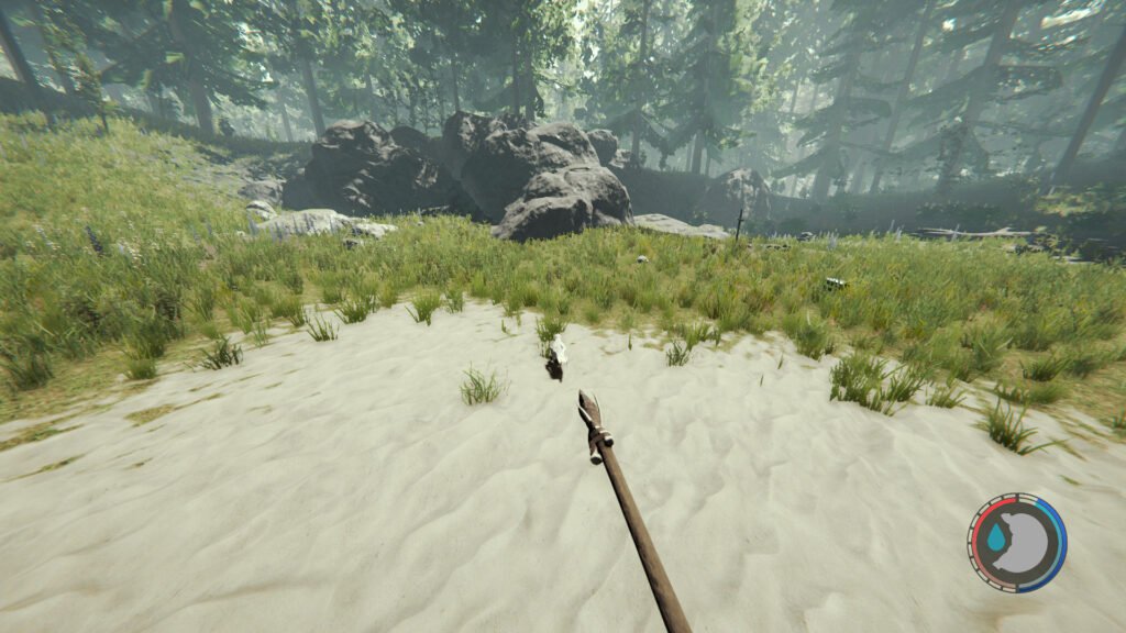 Aiming Spears in The Forest