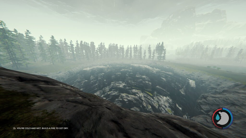 The Forest — Staring into the Sinkhole