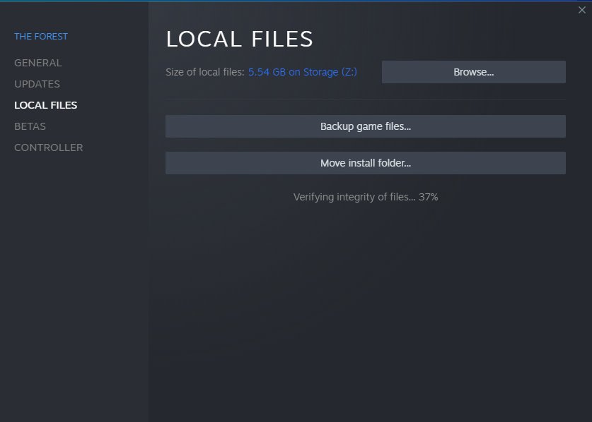 Verifying Steam File Integrity