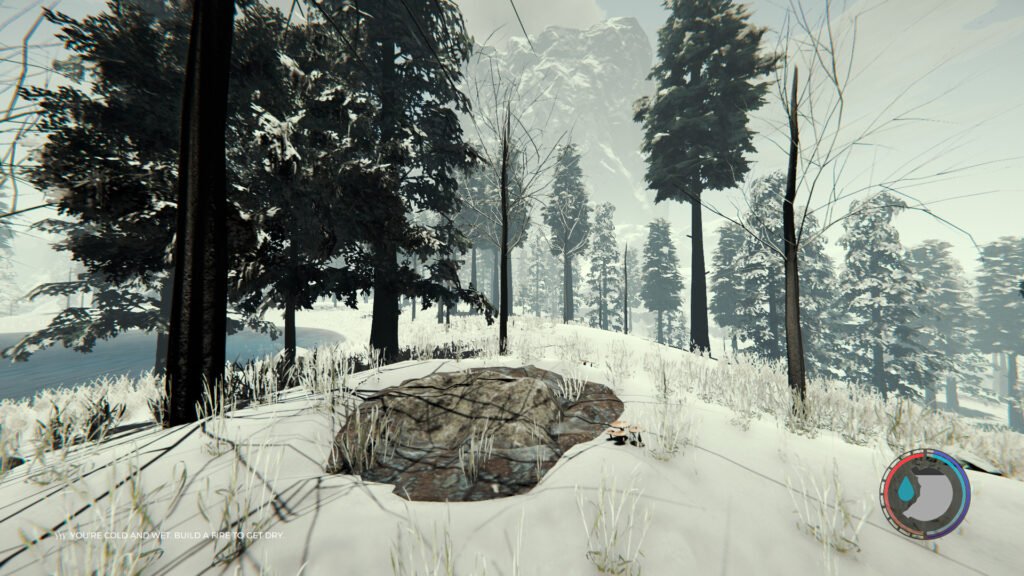 The Forest — Gun Part 7