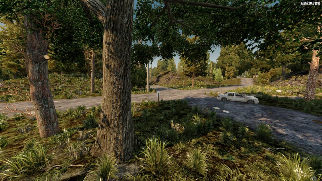 In-game Forest Scene