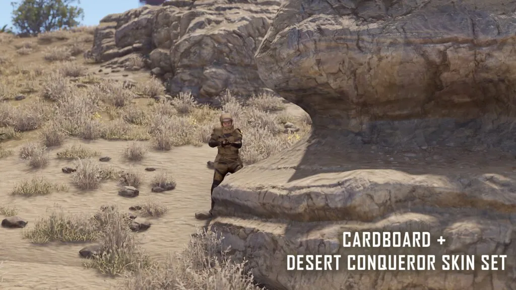 Cardboard & Desert Conqueror Skin Sets — Distance Shot