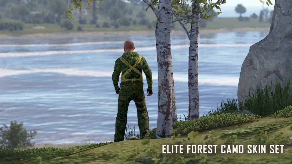 Elite Forest Camo RUST Skins — Rear View