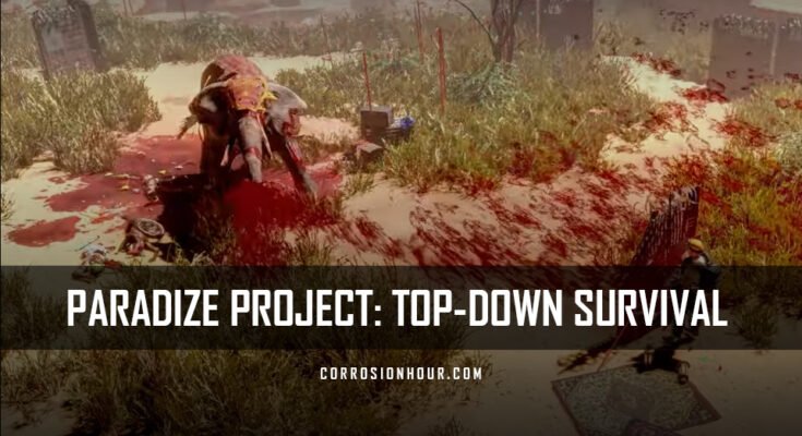 ParadiZe Project: Top-Down Survival Game