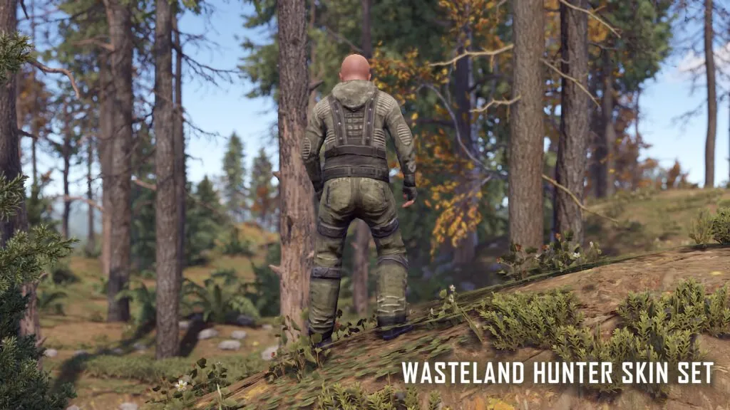 Wasteland Hunter RUST Skins — Rear View