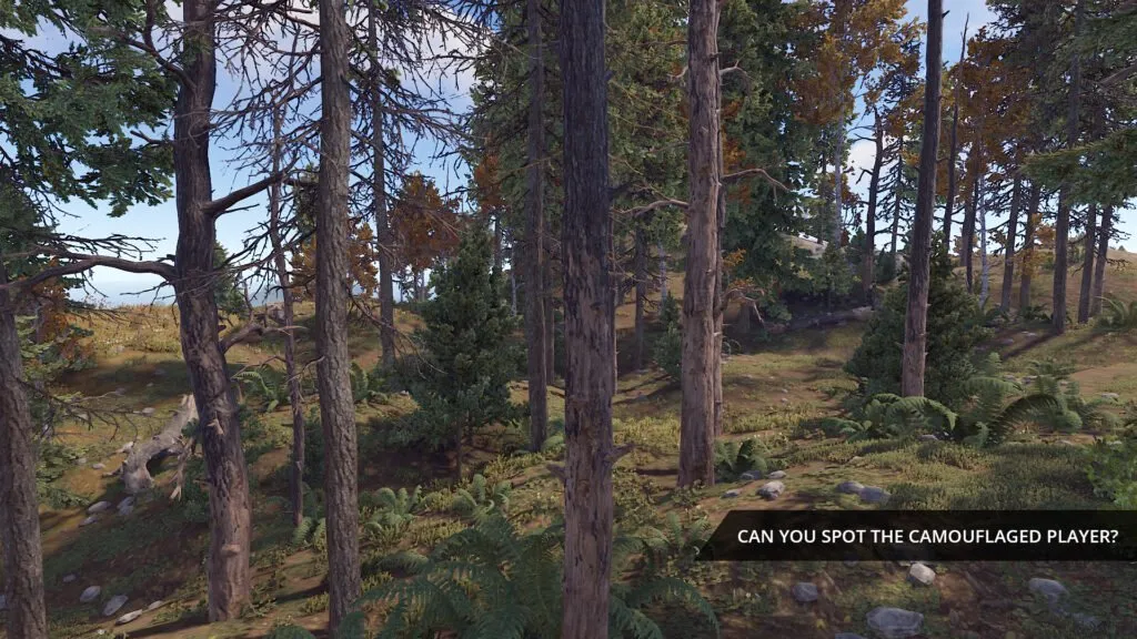 Can you spot the player in the Wasteland Hunter RUST Skins?