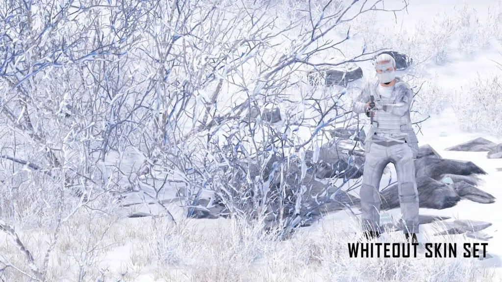 Whiteout Skin Set