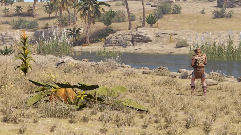 Plentiful food resources around rivers in the RUST Desert Biome.