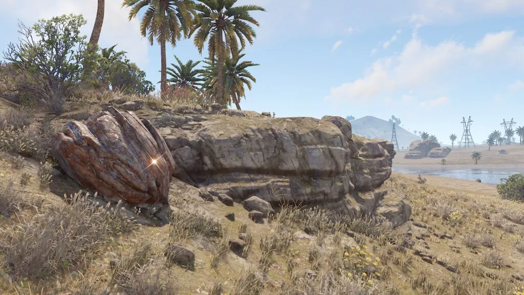 Resource Challenges in the Desert Biome