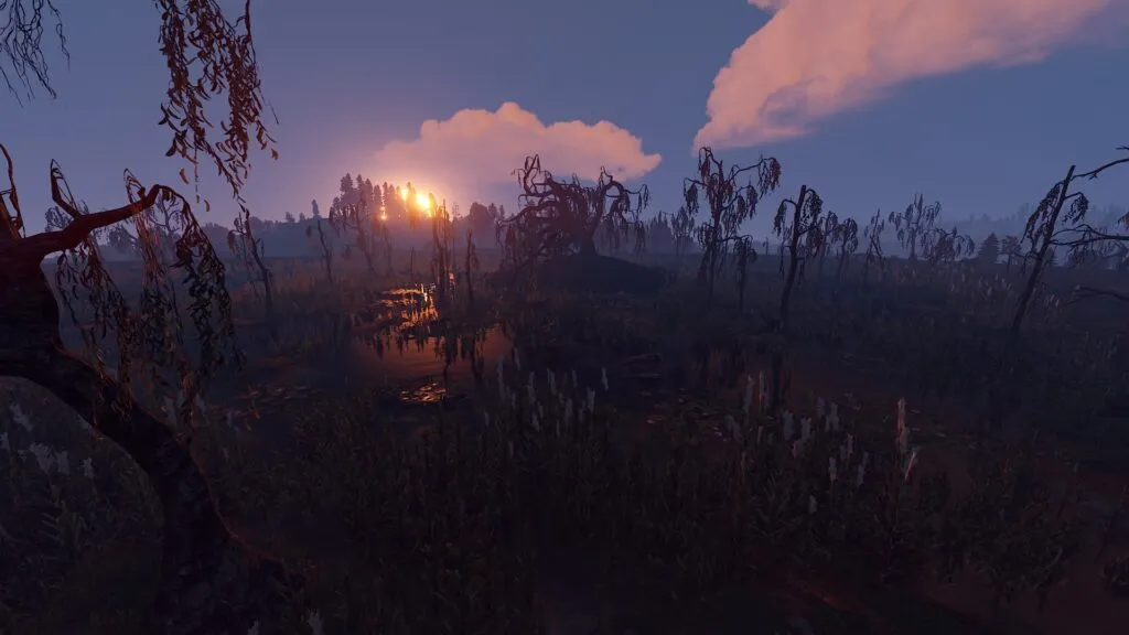 RUST Temperate Biome Swamps