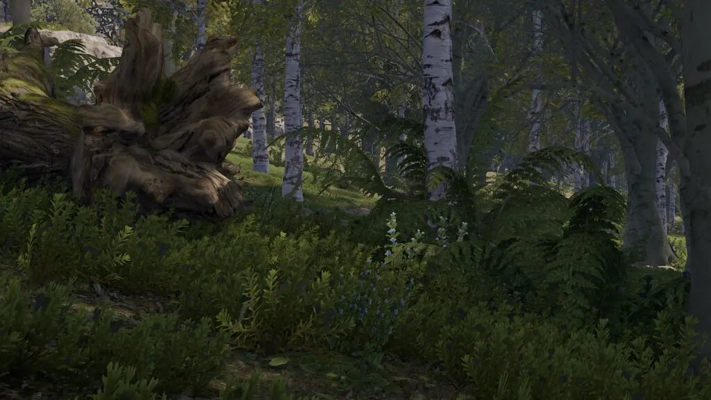 RUST Temperate Biome Forests