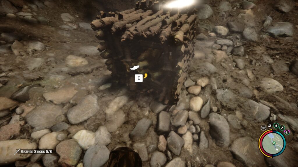 Fish inside the placed trap