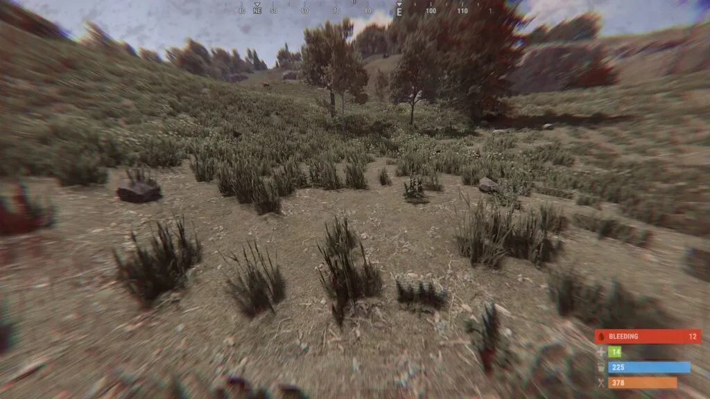 Bleeding — RUST Status Effect